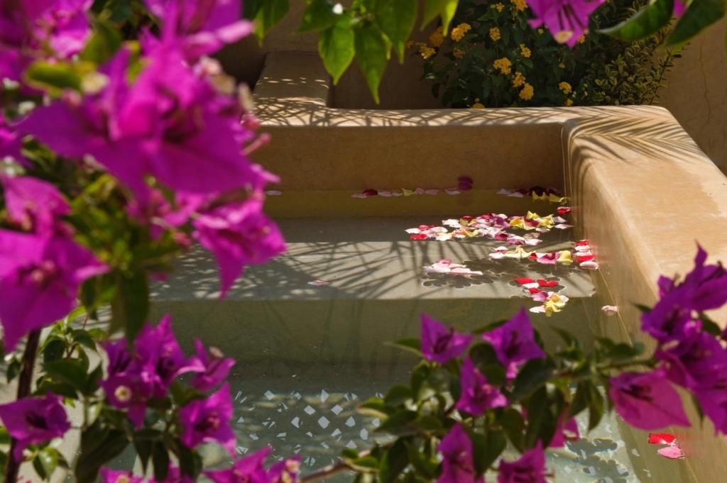 Riad Cinnamon By Marrakech Riad Марракеш Экстерьер фото